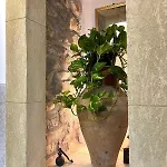 Casa Bonomo Couette-café