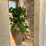 Casa Bonomo Couette-café 3*