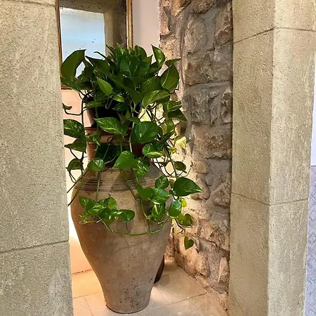 Casa Bonomo Отель типа 